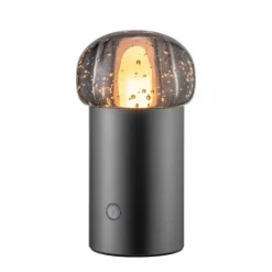 Blomus Iris Mobile LED Lamp Gun Metal