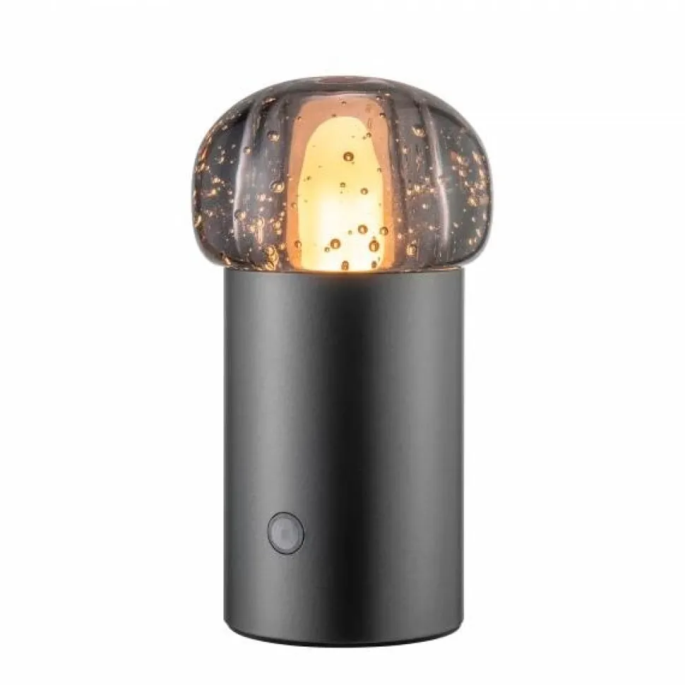 Blomus Iris Mobile LED Lamp Gun Metal