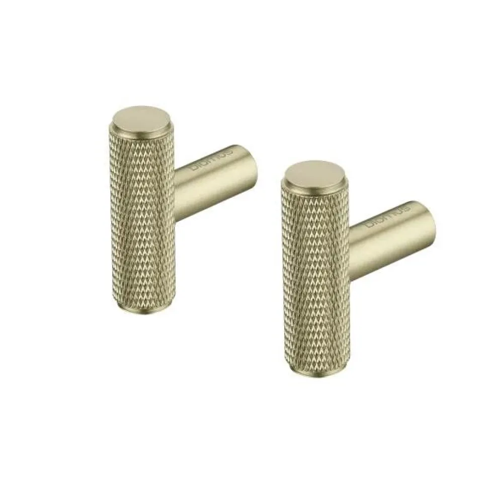 Blomus Rof Wall Hooks Elongated Brass