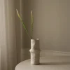 Botané Studios Actaea Racemosa "Fairy Candle" Flower Light Pink