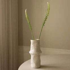 Botané Studios Actaea Racemosa "Fairy Candle" Flower White