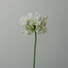 Botané Studios Agapanthus Flower White