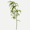 Botané Studios Amaranthus Cruentus Flower Green