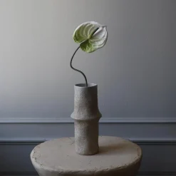Botané Studios Anthurium Flower White