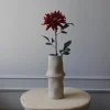 Botané Studios Cactus Dahlia Flower Red