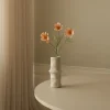 Botané Studios Cosmo Daisy Flower Champagne