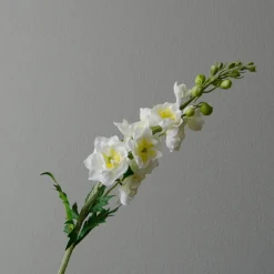 Botané Studios Delphinium Flower White