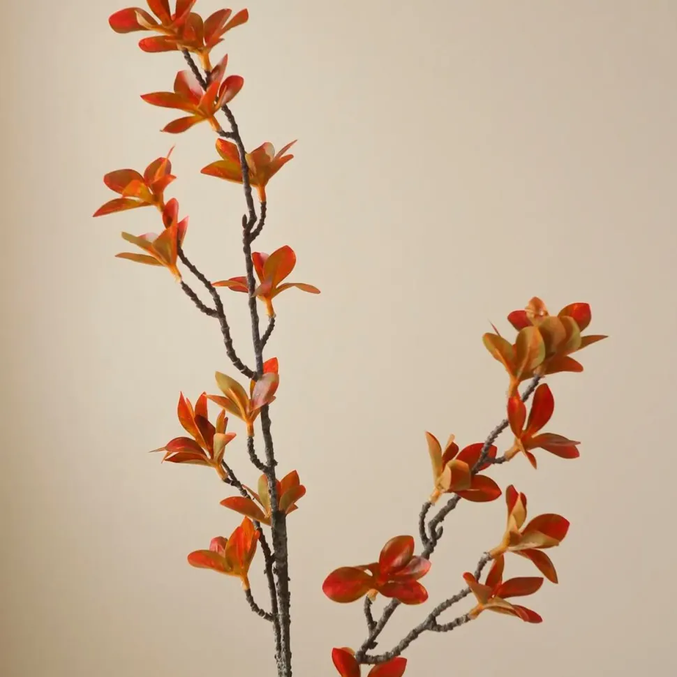 Botané Studios Enkianthus Perulatus Leave Orange