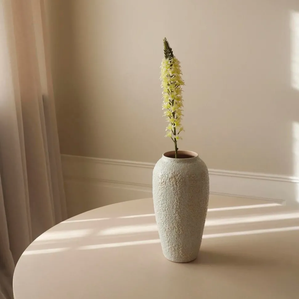 Botané Studios Eremurus Large Foxtail Lily Flower White