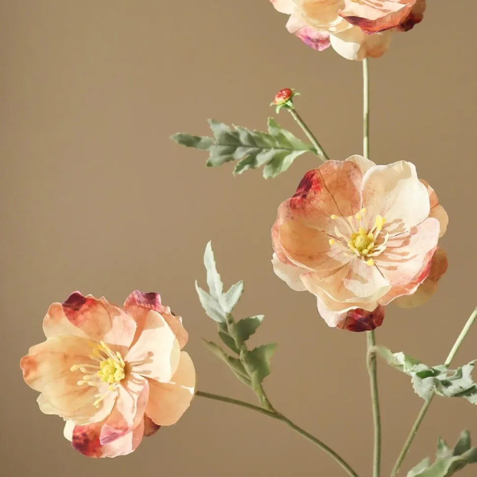Botané Studios Four Heads Poppy Flower Rose