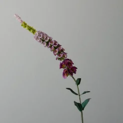Botané Studios Foxtail Flower Purple