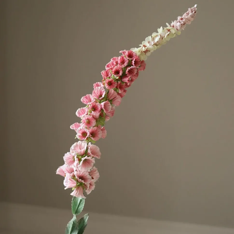 Botané Studios Foxtail Flower Pink