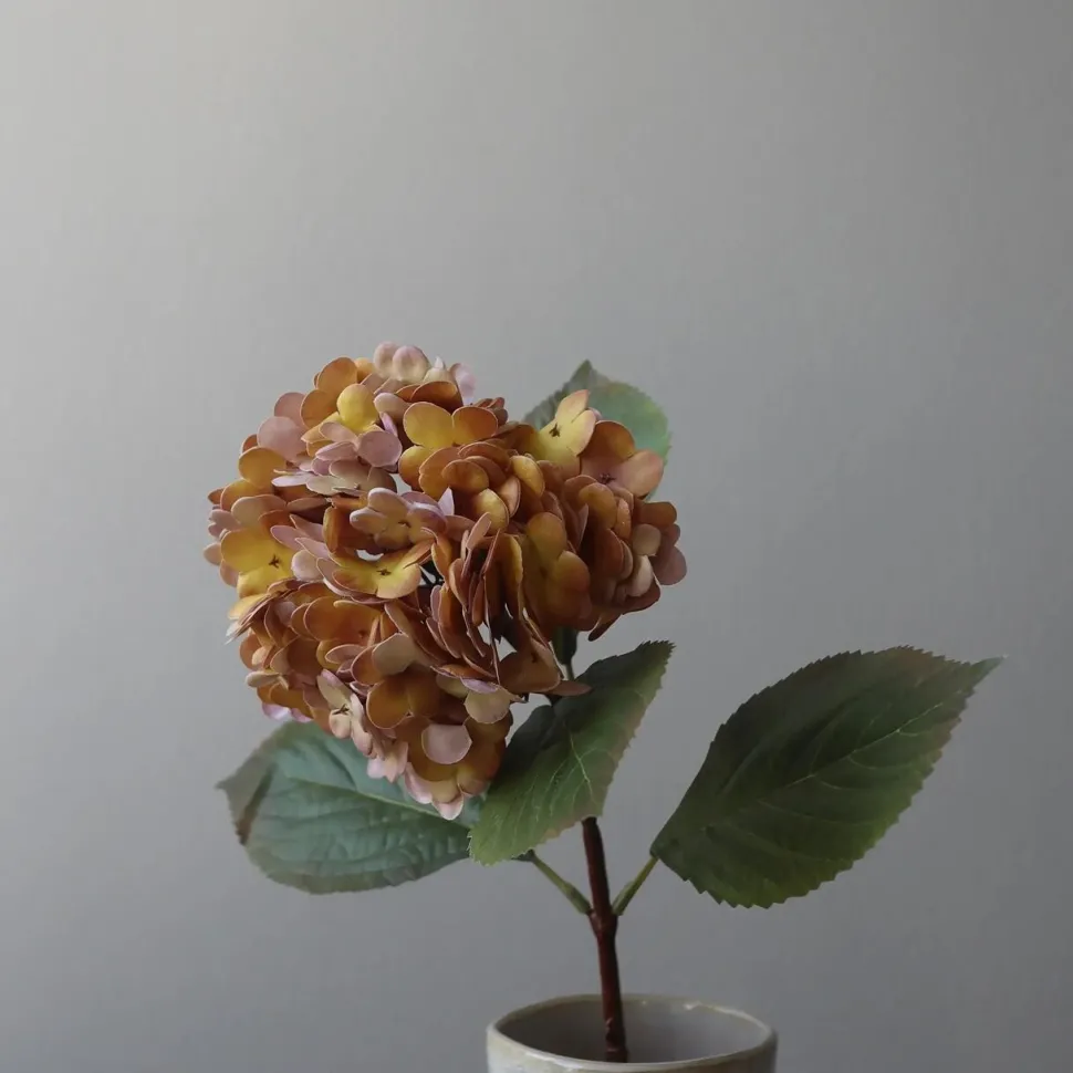 Botané Studios Hydrangea Flower Orange Small