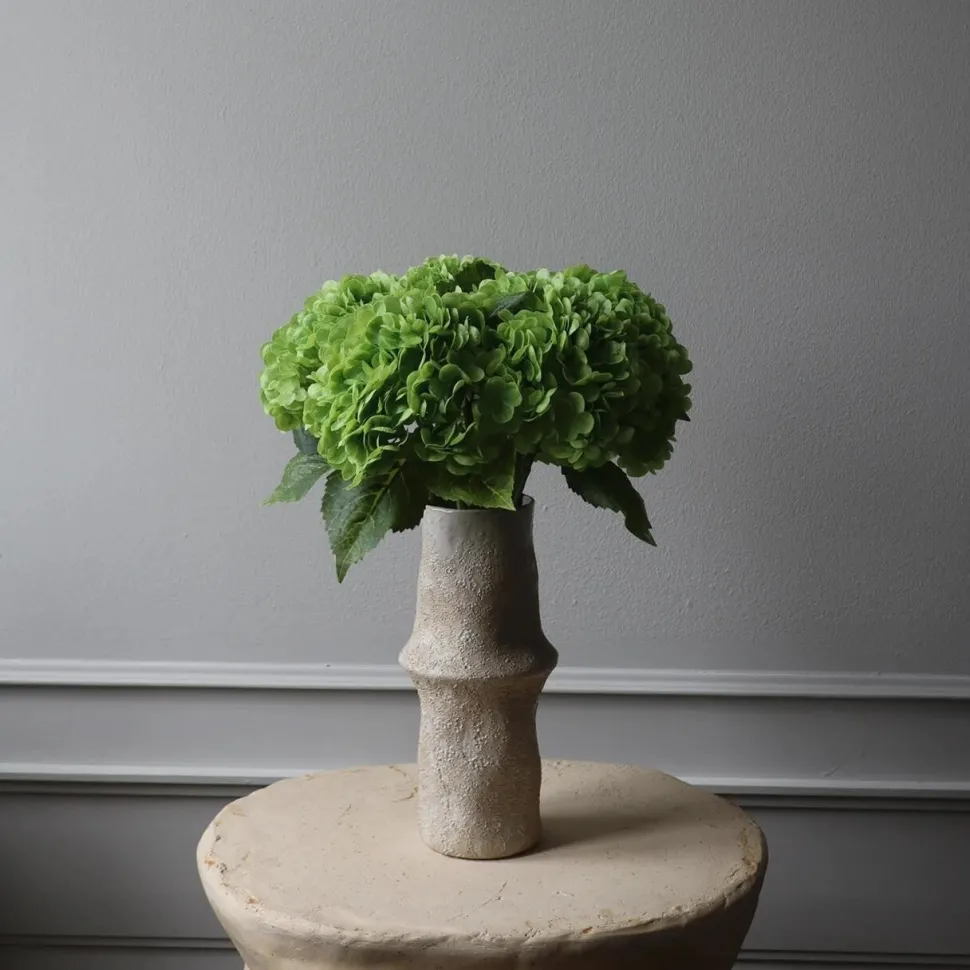 Botané Studios Hydrangea Flower Green