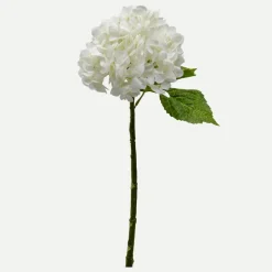 Botané Studios Hydrangea Flower White