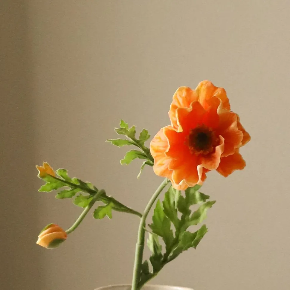 Botané Studios Large Poppy Flower Orange