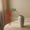 Botané Studios Lespedeza Bush Clovers Flower Red