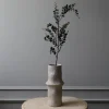Botané Studios Parvifolia 'Gunni' Eucalyptus Leave Dark Green