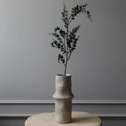 Botané Studios Parvifolia 'Gunni' Eucalyptus Leave Dark Green