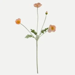 Botané Studios Poppy Flower Coral