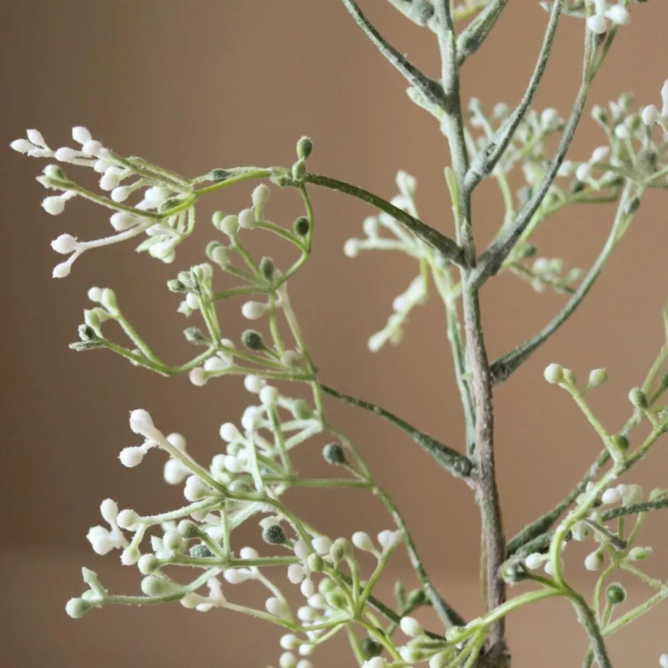 Botané Studios Rosehip Corallo Branch White