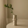 Botané Studios Skimmia Berry Branch Green