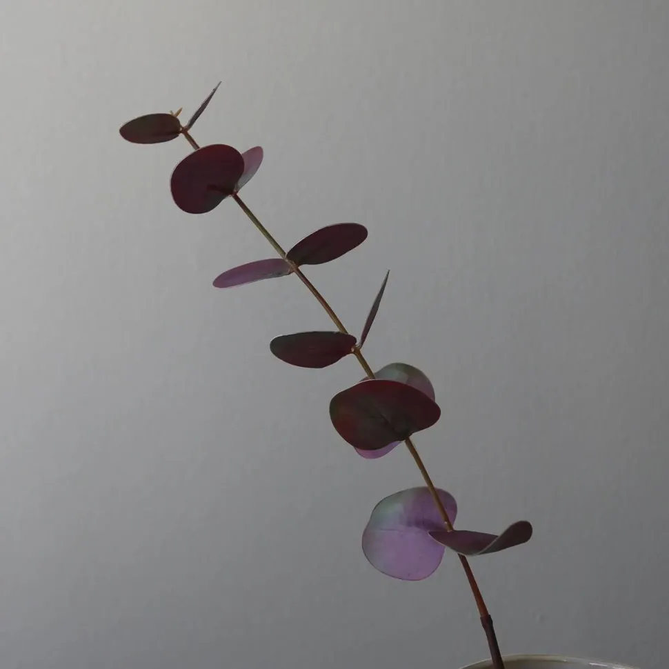 Botané Studios Small Eucalyptus Leave Purple