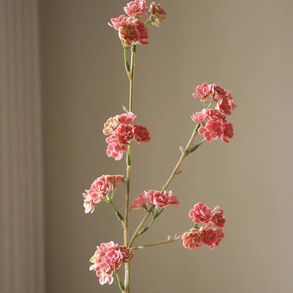 Botané Studios Succulent Stem Pink