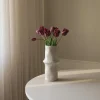 Botané Studios Triumpf Tulip Purple (5 pieces)