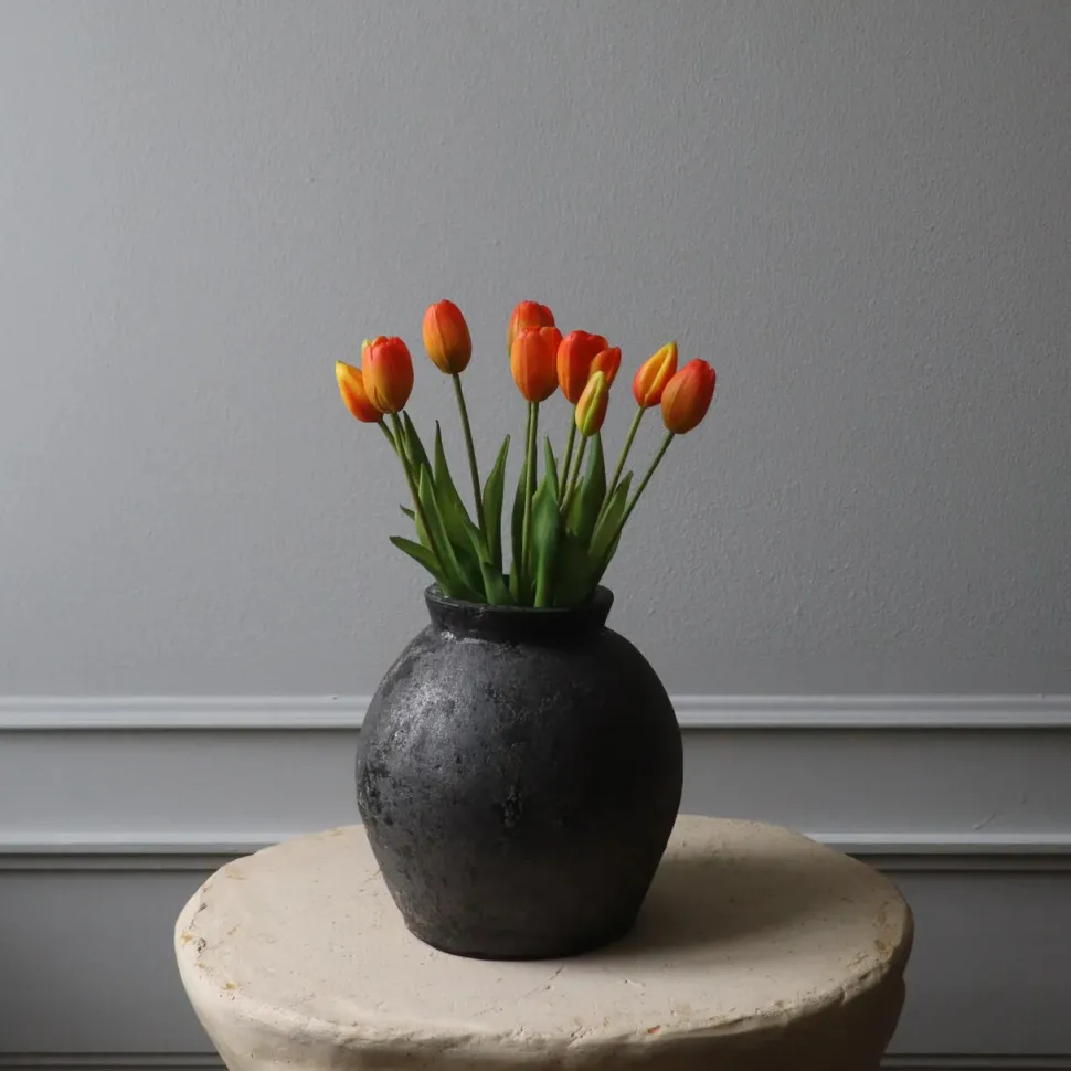 Botané Studios Tulip Bundle Orange (5 pieces)
