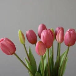 Botané Studios Tulip Bundle Pink (5 pieces)
