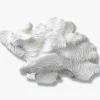 Mette Ditmer Coral Fan White