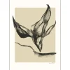 Poster & Frame Anna Mörner Nature 30x40 cm