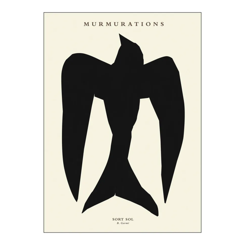 Poster & Frame Murmurations Sort Sol 30x40 cm