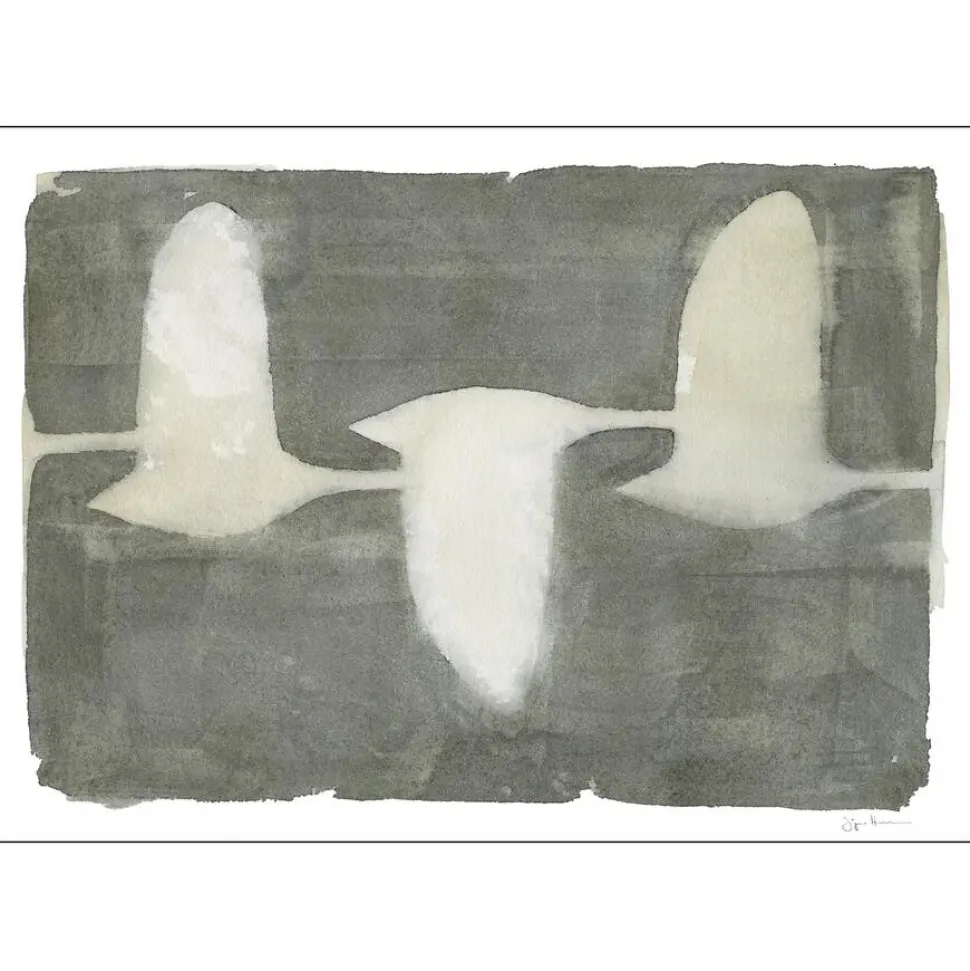 Poster & Frame Swans 30x40 cm