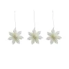 Watt & Veke Aurora 3-Pack 2024