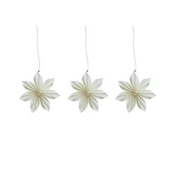 Watt & Veke Aurora 3-Pack 2024