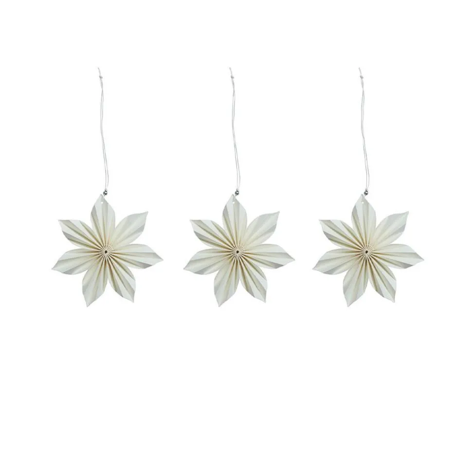 Watt & Veke Aurora 3-Pack 2024