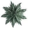 Watt & Veke Helena 44 Green