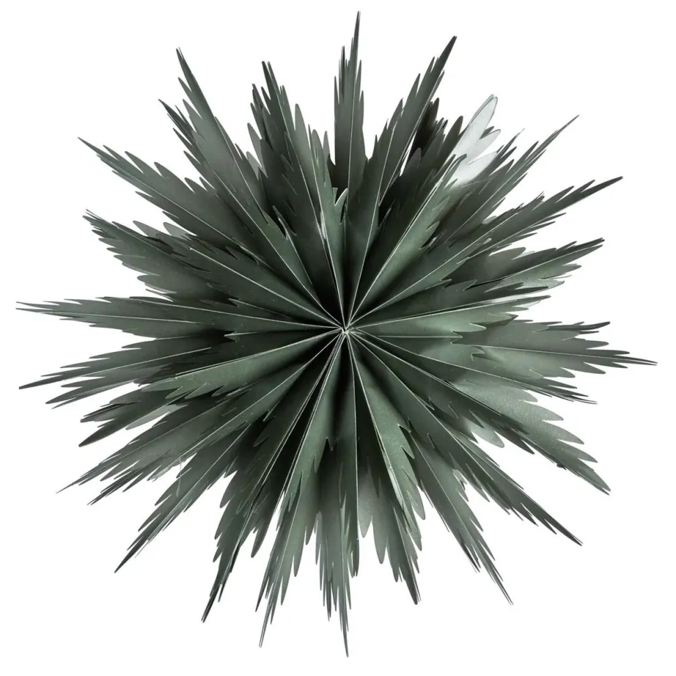 Watt & Veke Liz 50 Green